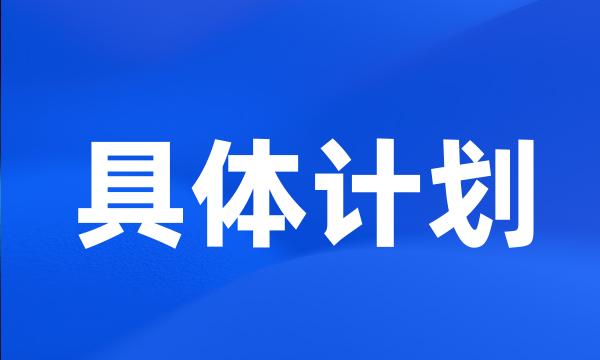 具体计划