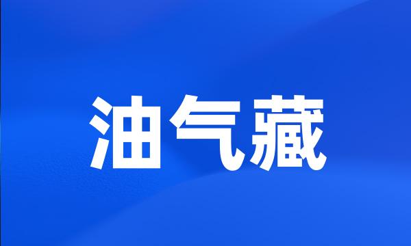 油气藏