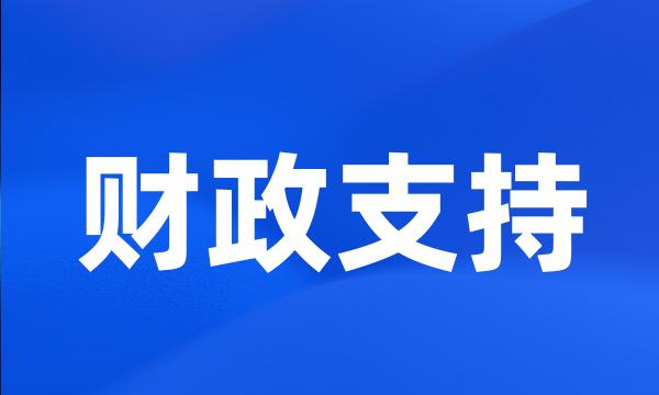 财政支持