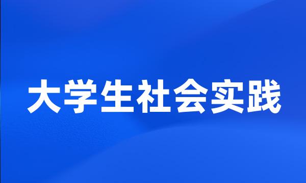 大学生社会实践