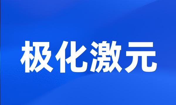 极化激元