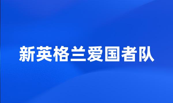 新英格兰爱国者队