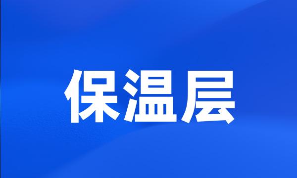 保温层