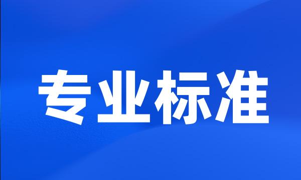 专业标准