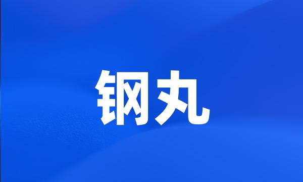 钢丸