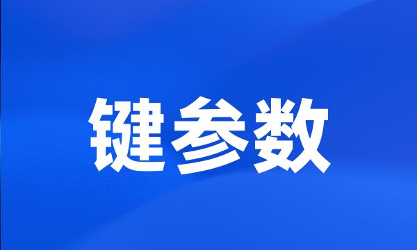 键参数