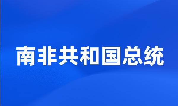 南非共和国总统