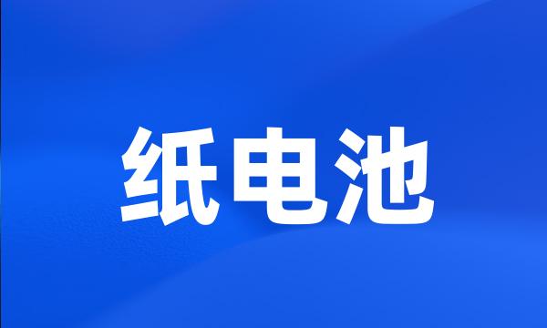 纸电池