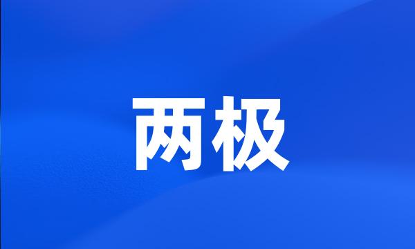 两极