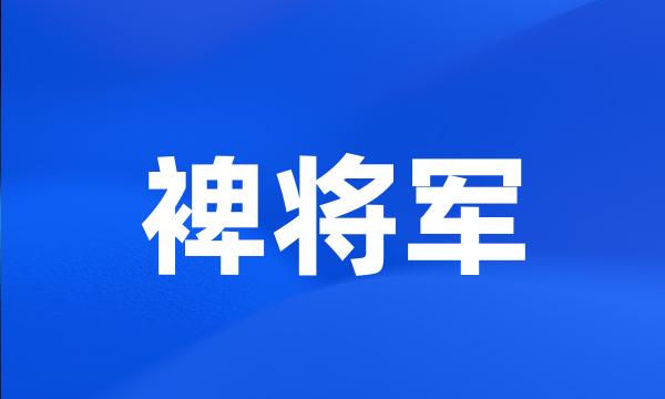 裨将军