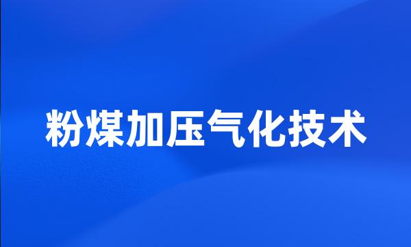 粉煤加压气化技术