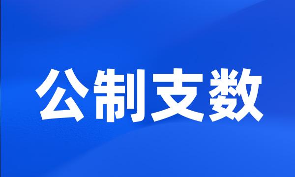 公制支数