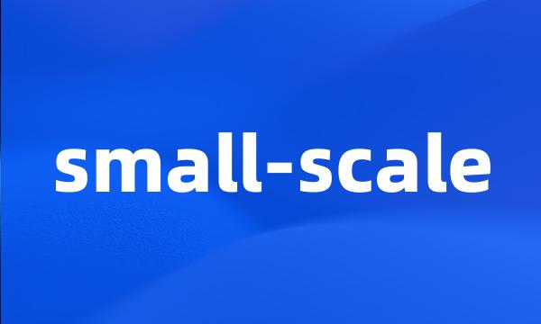 small-scale