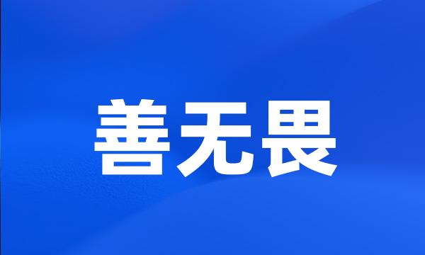 善无畏