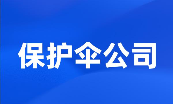 保护伞公司