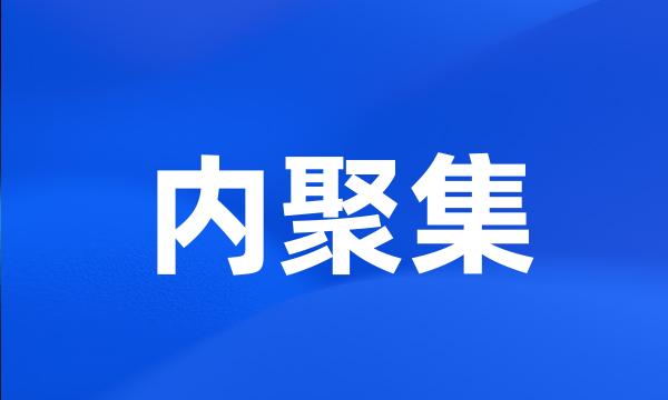 内聚集