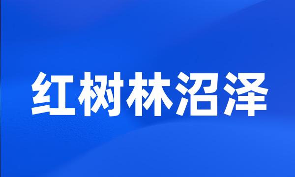 红树林沼泽