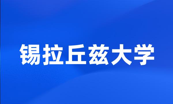 锡拉丘兹大学