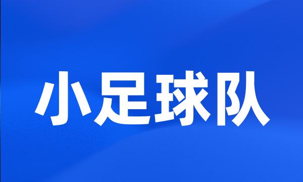 小足球队