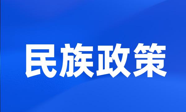 民族政策