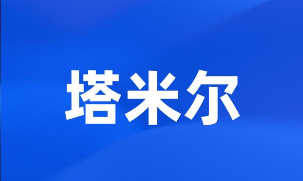 塔米尔