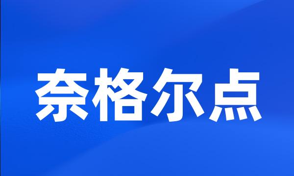 奈格尔点