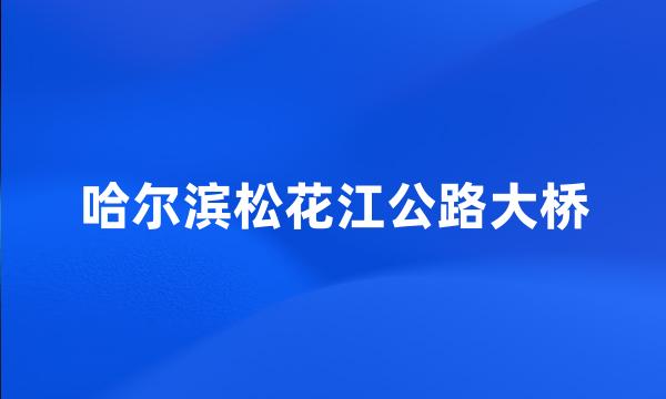 哈尔滨松花江公路大桥