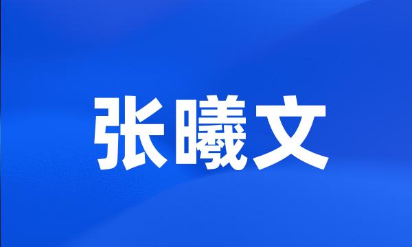 张曦文