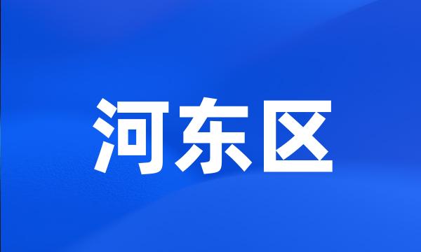 河东区