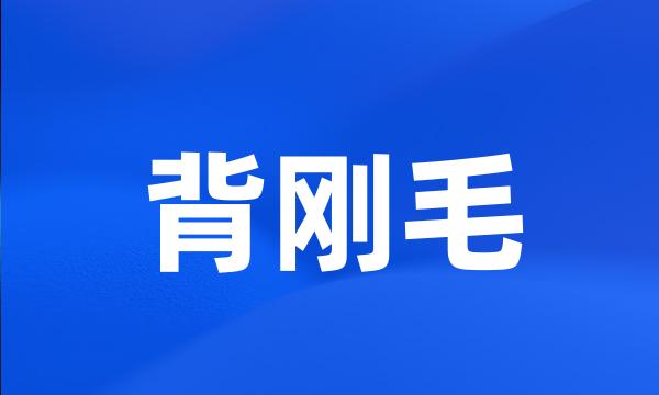 背刚毛