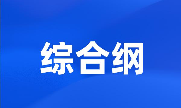 综合纲