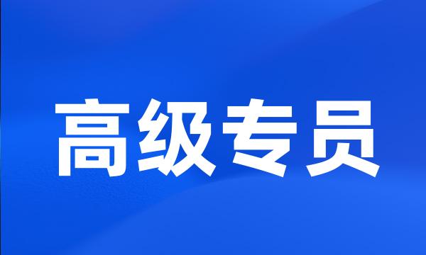 高级专员