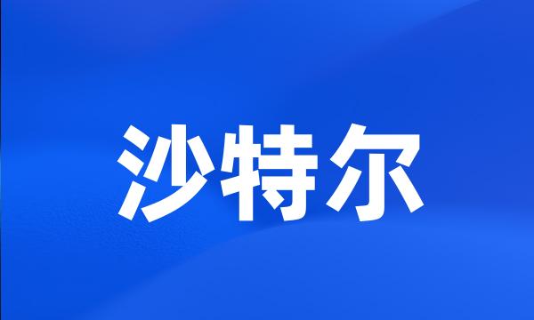 沙特尔