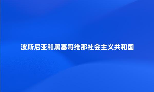 波斯尼亚和黑塞哥维那社会主义共和国