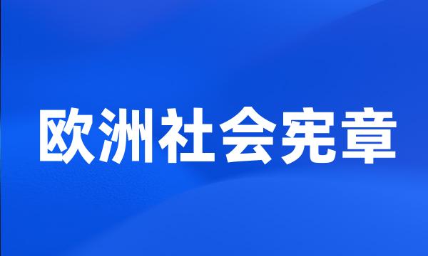 欧洲社会宪章