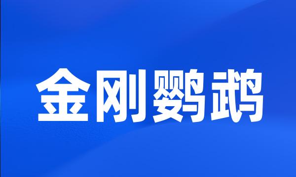 金刚鹦鹉