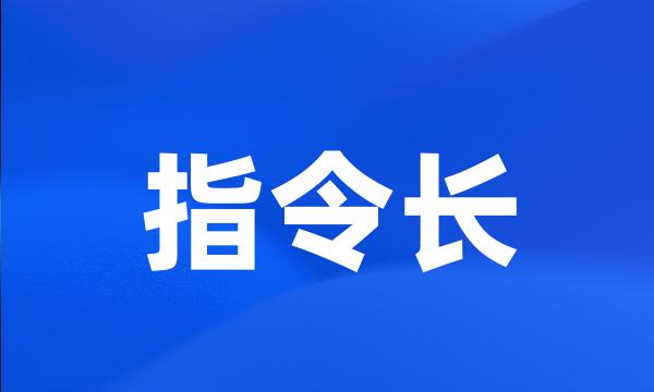 指令长