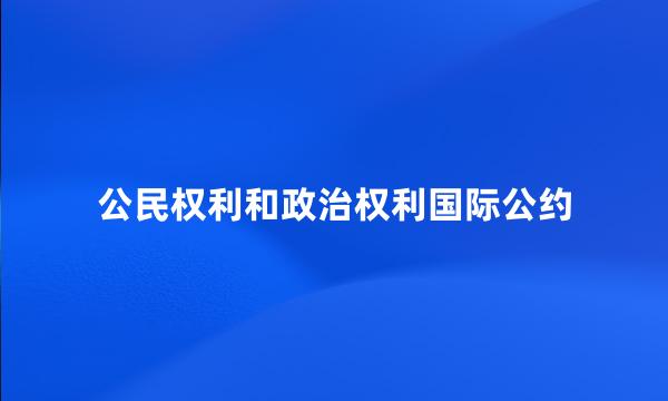 公民权利和政治权利国际公约