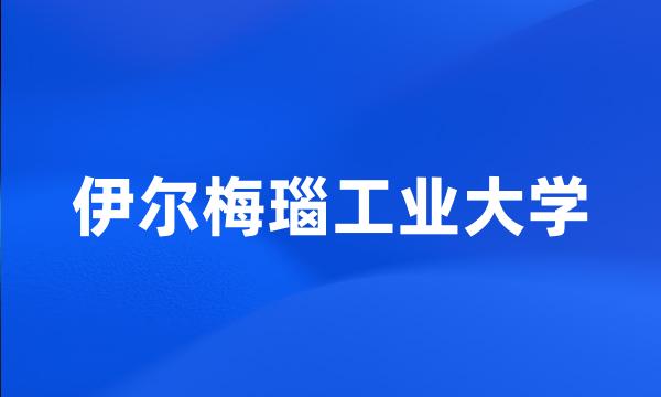 伊尔梅瑙工业大学