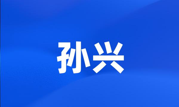 孙兴