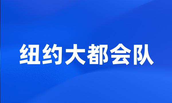 纽约大都会队