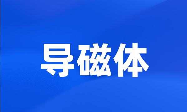 导磁体