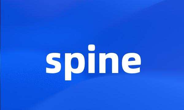 spine