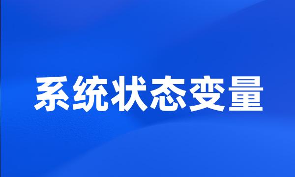 系统状态变量