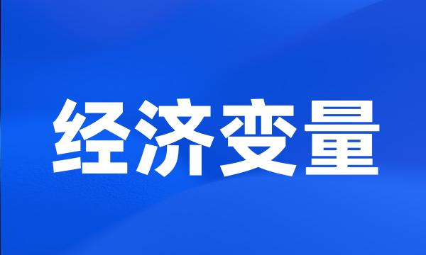 经济变量