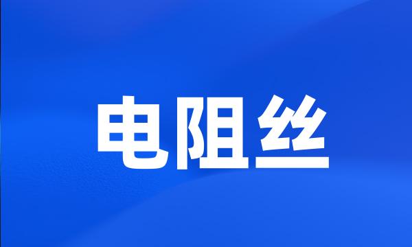 电阻丝