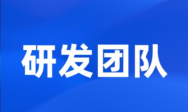 研发团队