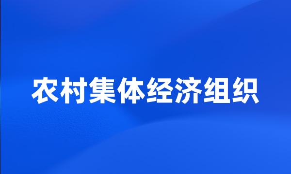 农村集体经济组织