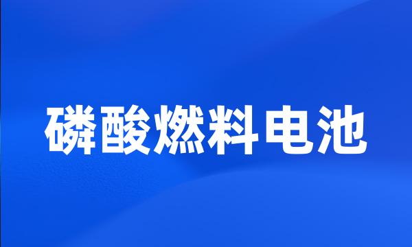 磷酸燃料电池