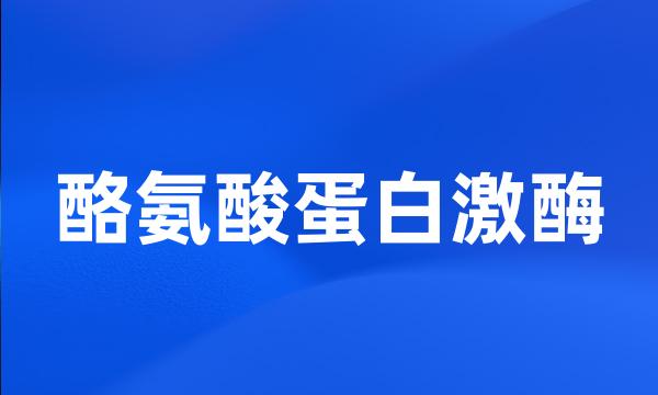 酪氨酸蛋白激酶